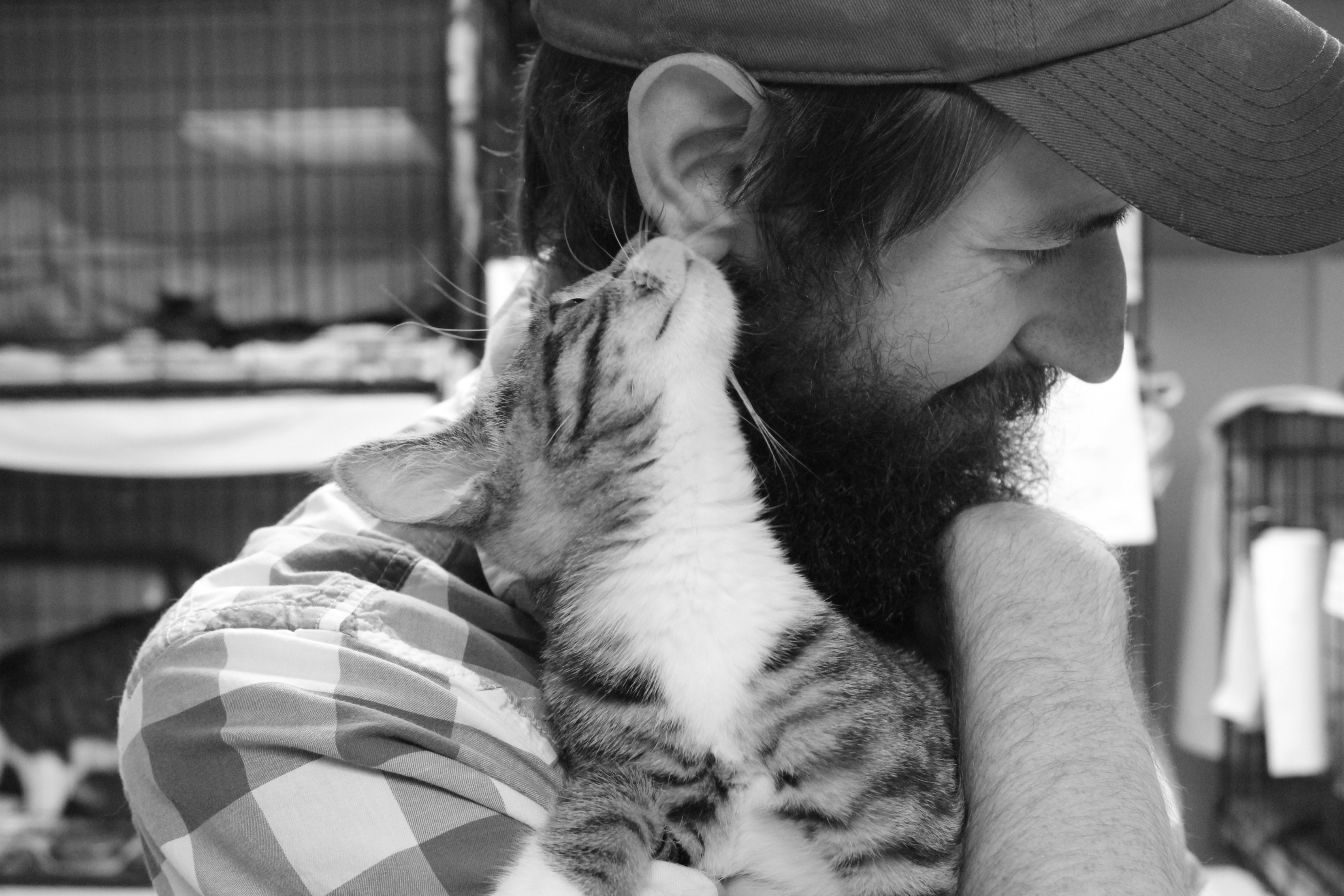 Volunteer Ten Lives Cat Rescue